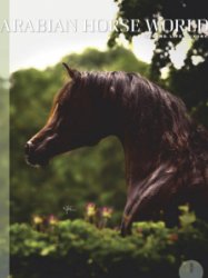 Arabian Horse World - 10.2019