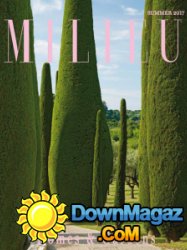 Milieu - Summer 2017