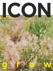 Icon - Summer 2021