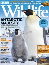 BBC Wildlife - 12.2018