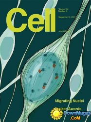 Cell - 12 September 2013