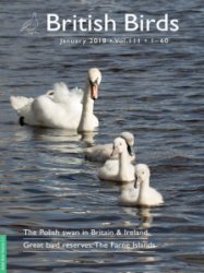 British Birds - 01.2018