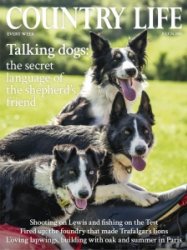 Country Life UK - 07.24.2024