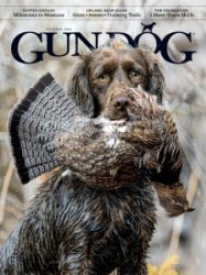 Gun Dog - 10.2024