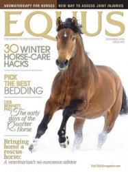 Equus - 12.2018