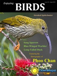 Enjoying Birds USA - August 2015