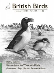 British Birds - 01.2021