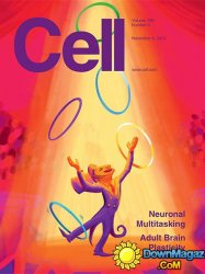 Cell - 6 November 2014