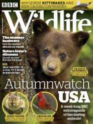 BBC Wildlife - 10.2018