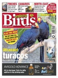 Cage & Aviary Birds - 26.06.2024