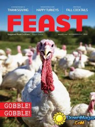 Feast – November 2013