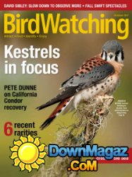 BirdWatching - 09/10 2017