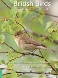 British Birds - 06.2018