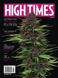 High Times - 11.2023