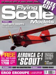 Flying Scale Models - 01.2019