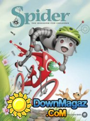 Spider - 07/08 2017