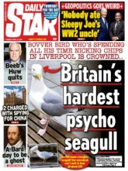 Daily Star - 23.04.2024