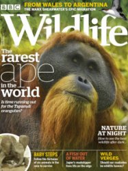 BBC Wildlife - 09.2019