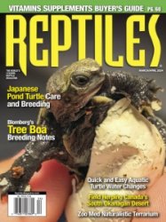 Reptiles - 03/04 2024