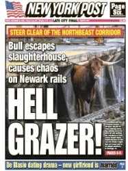 New York Post - 12.15.2023