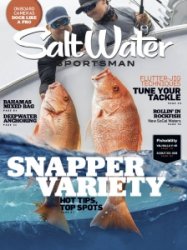 Salt Water Sportsman - 04.2022