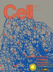 Cell - 20 November 2014