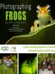 Photographing Frogs and Other Amphibians 2018