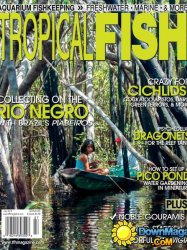 Tropical Fish Hobbyist - July 2014