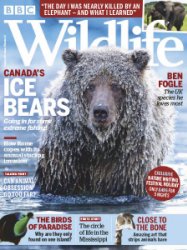 BBC Wildlife - 02.2019