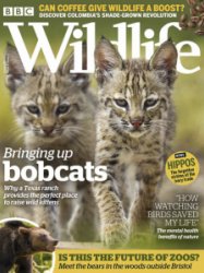 BBC Wildlife - 10.2019