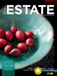 Real Estate - November 2016