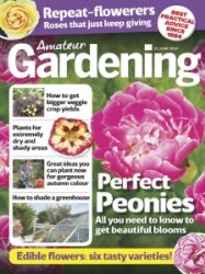 Amateur Gardening - 27.06.2020