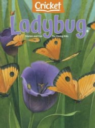 Ladybug - 04.2021