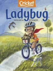 Ladybug - 04.2022