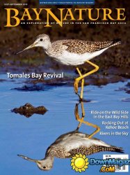 Bay Nature USA - July/September 2015