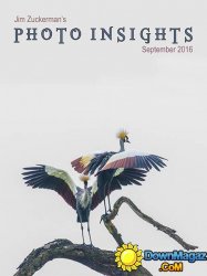 Photo insights - September 2016