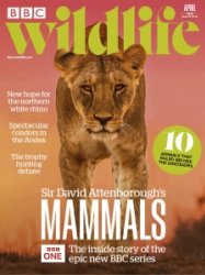 BBC Wildlife - 04.2024