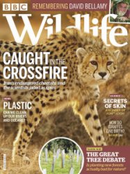 BBC Wildlife - 02.2020