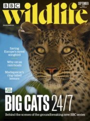 BBC Wildlife - 09.2024