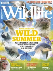 BBC Wildlife - 08.2019