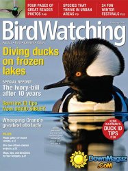 BirdWatching - February 2015