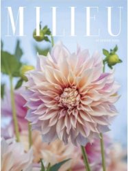 Milieu - Summer 2020