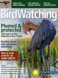 BirdWatching - August 2016