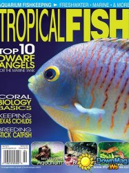 Tropical Fish Hobbyist - April 2013