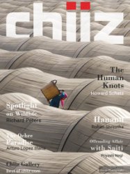 Chiiz - Vol. 13 2018