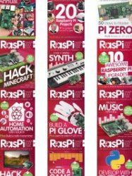 RasPi - Full Year 2016