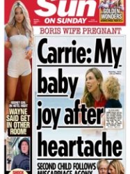 The Sun UK - 08.01.2021