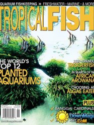 Tropical Fish Hobbyist - January 2015