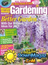 Woman's Weekly Living Series - 03.2017