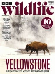 BBC Wildlife - 11.2022